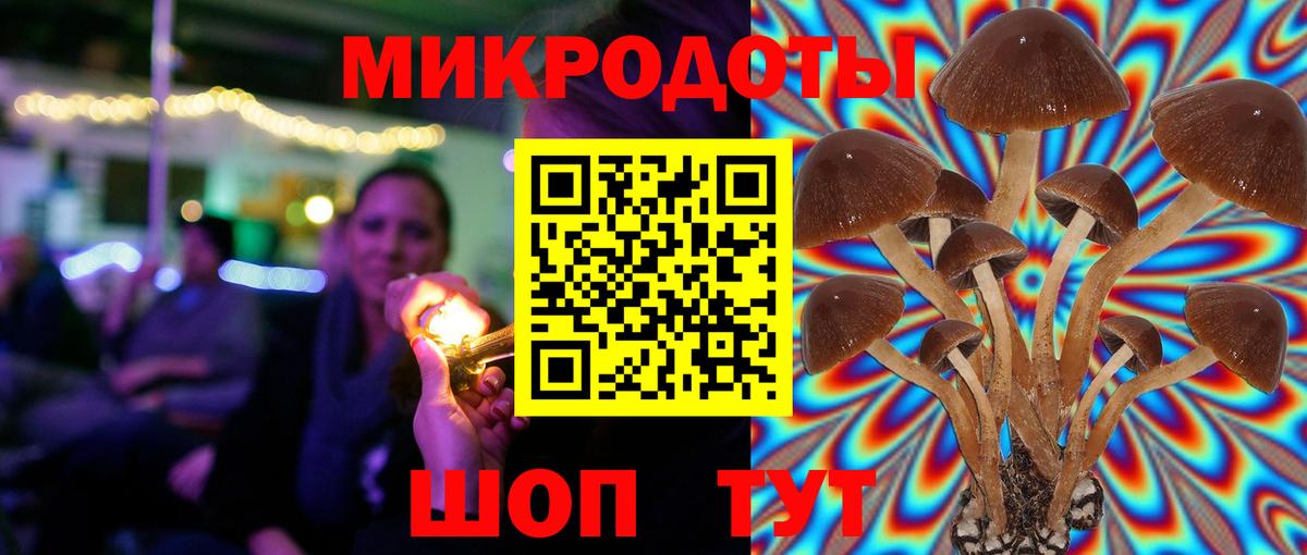 Галлюциногенные грибы Psilocybe  Вход с VPN  сколько стоит  Майский 